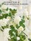 5.9Ft Eucalyptus Garland with Flowers, Artificial Fake Flower Greenery Spring Garland for Baby Shower Wedding Mantle Table Centerpiece Spring Decor